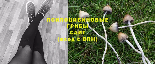 молекула духа Алексеевка