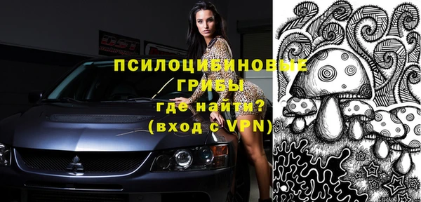 молекула духа Алексеевка