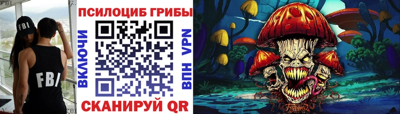 Псилоцибиновые грибы Psilocybine cubensis  darknet Telegram  Гвардейск 